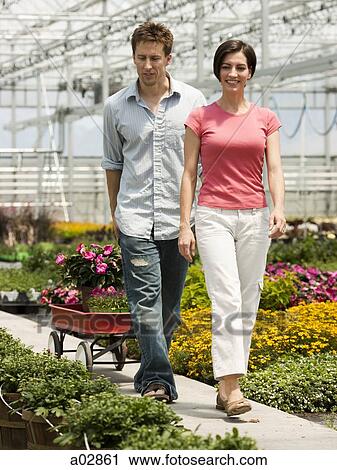 USA, Utah, Salem, mid adult couple choosing plants in greenhouse View Large Photo Image Stock Image - USA, Utah, Salem, mid adult couple choosing plants in greenhouse. Fotosearch