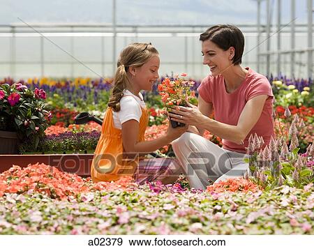 USA, Utah, Salem, Mother and daughter (8-9) in plant nursery View Large Photo Image Stock Photo - USA, Utah, Salem, Mother and daughter (8-9) in plant nursery. Fotosearch