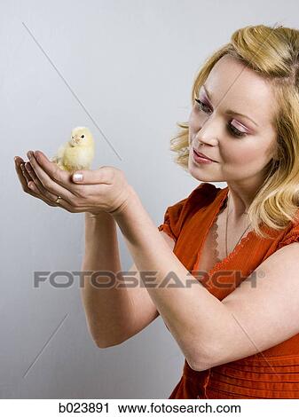 woman holding a baby chick View Large Photo Image Stock Image - woman holding a baby chick. Fotosearch