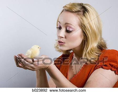 woman holding a baby chick View Large Photo Image Stock Image - woman holding a baby chick. Fotosearch