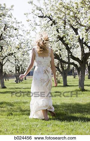 woman in a blossoming orchard View Large Photo Image Stock Photograph - woman in a blossoming orchard. Fotosearch