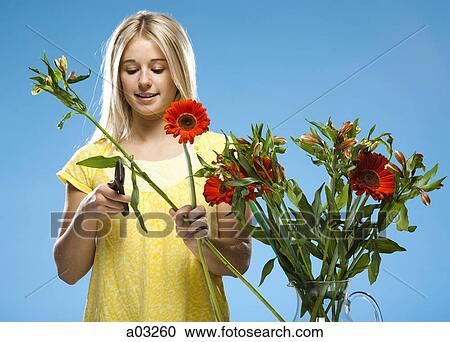 Young woman pruning flowers, studio shot View Large Photo Image Stock Image - Young woman pruning flowers, studio shot. Fotosearch