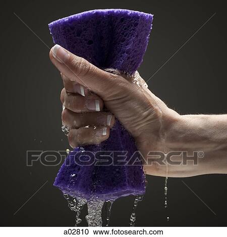 Young woman's hand squeezing wet sponge View Large Photo Image Stock Image - Young woman's hand squeezing wet sponge. Fotosearch