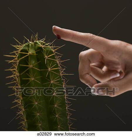 Stock Photo - Young woman's hand touching cactus spike. Fotosearch