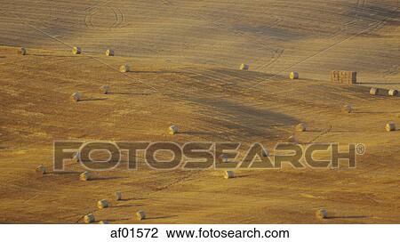 Aerial view of hay bales in tilled farm field in rural landscape View Large Photo Image Stock Image - Aerial view of hay bales in tilled farm field in rural landscape. Fotosearch
