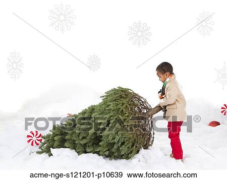 Boy (4-5) pulling christmas tree View Large Photo Image Stock Photo - Boy (4-5) pulling christmas tree. Fotosearch