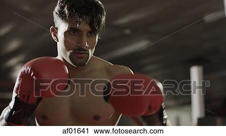 Close up of boxer in boxing gloves standing in boxing ring during match View Large Photo Image Stock Image - Close up of boxer in boxing gloves standing in boxing ring during match. Fotosearch