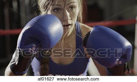 Close up of female boxer in boxing gloves standing in boxing ring during match View Large Photo Image Stock Photo - Close up of female boxer in boxing gloves standing in boxing ring during match. Fotosearch