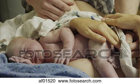 Stock Image - Close up of parents' hands cleaning newborn baby in hospital. Fotosearch