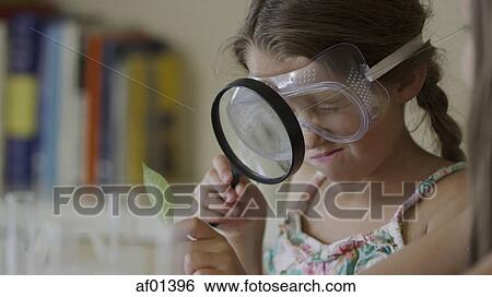 Stock Photograph - Curious girl examining leaf with magnifying glass in science laboratory experiment. Fotosearch