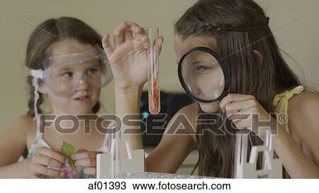 Curious students examining test tube with magnifying glass in science laboratory experiment View Large Photo Image Stock Image - Curious students examining test tube with magnifying glass in science laboratory experiment. Fotosearch