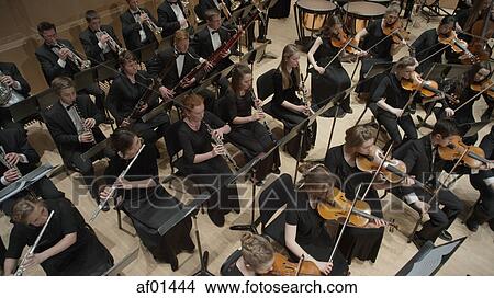 High angle view of student musicians playing instruments in orchestra recital View Large Photo Image Picture - High angle view of student musicians playing instruments in orchestra recital. Fotosearch