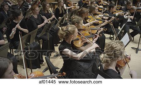 High angle view of student musicians playing instruments in orchestra recital View Large Photo Image Stock Photography - High angle view of student musicians playing instruments in orchestra recital. Fotosearch