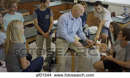 Picture - High angle view of teacher instructing students with diorama in science lab classroom. Fotosearch