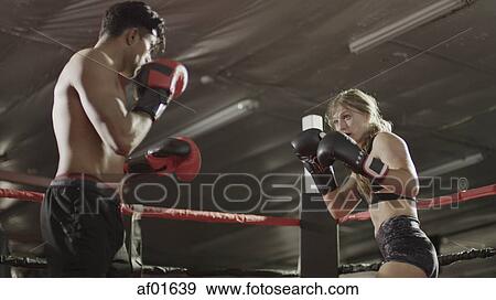 Low angle view of boxers punching and fighting in boxing ring during match View Large Photo Image Stock Photo - Low angle view of boxers punching and fighting in boxing ring during match. Fotosearch