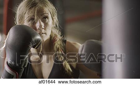 Low angle view of female boxer protecting her face standing in boxing ring during match View Large Photo Image Picture - Low angle view of female boxer protecting her face standing in boxing ring during match. Fotosearch