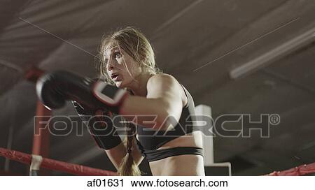 Low angle view of female boxer punching in boxing gloves standing in boxing ring during match View Large Photo Image Stock Image - Low angle view of female boxer punching in boxing gloves standing in boxing ring during match. Fotosearch