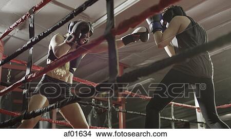 Low angle view of female boxers punching and fighting in boxing ring during match View Large Photo Image Picture - Low angle view of female boxers punching and fighting in boxing ring during match. Fotosearch
