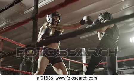 Low angle view of female boxers punching and fighting in boxing ring during match View Large Photo Image Stock Photography - Low angle view of female boxers punching and fighting in boxing ring during match. Fotosearch