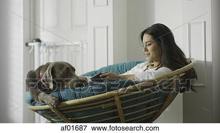 Low angle view of pet dog and woman using smartphone and sitting in chair View Large Photo Image Stock Photo - Low angle view of pet dog and woman using smartphone and sitting in chair. Fotosearch