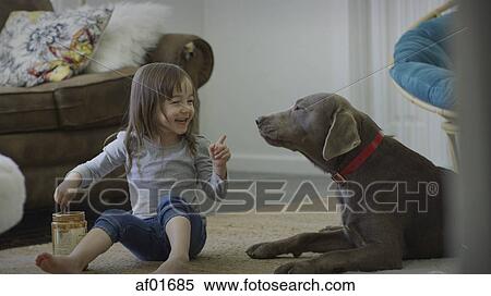 Stock Photography - Naughty girl feeding pet dog peanut butter on living room floor. Fotosearch