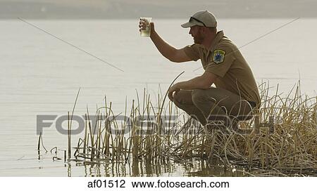 Profile of scientist examining water sample in reeds at remote grassy lake shore View Large Photo Image Stock Image - Profile of scientist examining water sample in reeds at remote grassy lake shore. Fotosearch