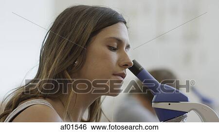 Stock Photograph - Profile view of student using microscope for scientific experiment in science lab classroom. Fotosearch