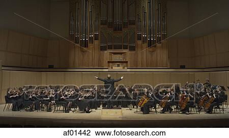 Rear view of conductor gesturing and leading music orchestra in auditorium View Large Photo Image Stock Image - Rear view of conductor gesturing and leading music orchestra in auditorium. Fotosearch