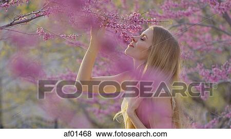 Selective focus view of profile of woman smelling flowering tree branches in park View Large Photo Image Stock Photo - Selective focus view of profile of woman smelling flowering tree branches in park. Fotosearch
