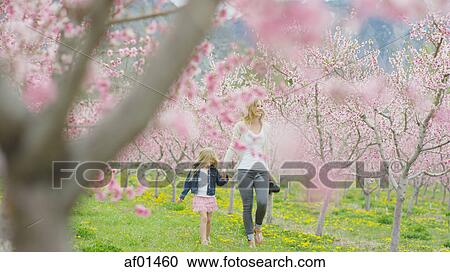 Selective focus view of smiling mother and daughter walking in park field with flowering trees View Large Photo Image Stock Image - Selective focus view of smiling mother and daughter walking in park field with flowering trees. Fotosearch