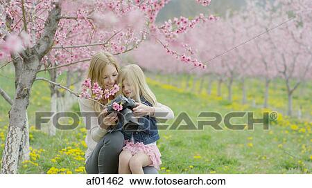 Smiling mother and daughter taking pictures in park field with flowering trees View Large Photo Image Stock Image - Smiling mother and daughter taking pictures in park field with flowering trees. Fotosearch