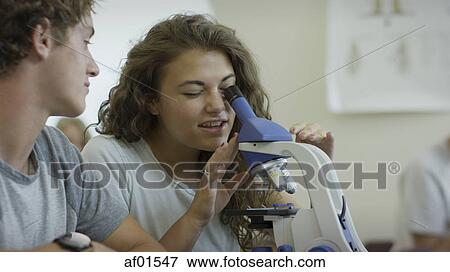 Students working together and using microscope for scientific experiment in science lab classroom View Large Photo Image Stock Photo - Students working together and using microscope for scientific experiment in science lab classroom. Fotosearch
