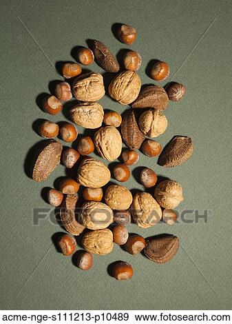 Studio shot of assorted nuts View Large Photo Image Stock Photo - Studio shot of assorted nuts. Fotosearch