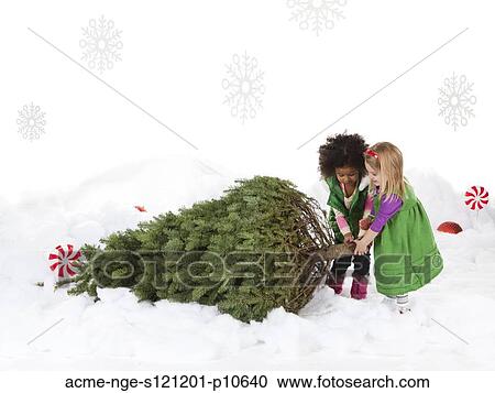 Two girls (18-23 months, 4-5) pulling christmas tree View Large Photo Image Stock Image - Two girls (18-23 months, 4-5) pulling christmas tree. Fotosearch