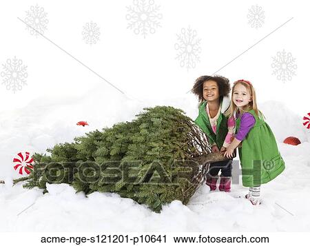 Two girls (18-23 months, 4-5) pulling christmas tree View Large Photo Image Stock Image - Two girls (18-23 months, 4-5) pulling christmas tree. Fotosearch