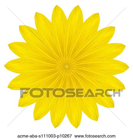 Stock Photo - Yellow flower on white background. Fotosearch