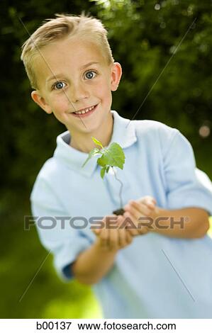 Portrait of a child holding a plant sapling View Large Photo Image Stock Photo - Portrait of a child holding a plant sapling. Fotosearch