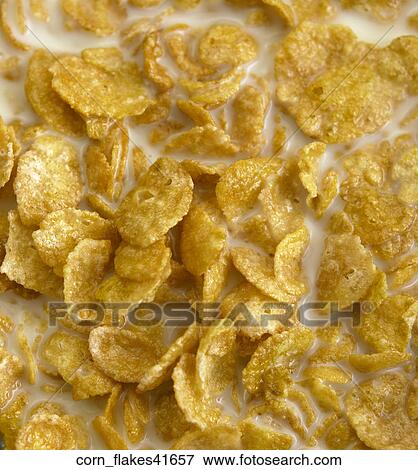 コーンフレーク シリアル ミルク ボール 朝食 写真館 イメージ館 Corn Flakes Fotosearch