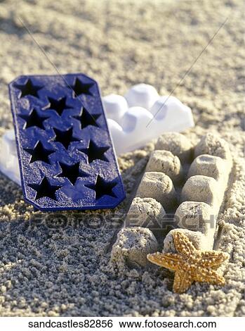Beach, Outside, Still Life, Summer, Stars, Tray, Starfish View Large Photo Image Stock Photograph - Beach, Outside, Still Life, Summer, Stars, Tray, Starfish. Fotosearch