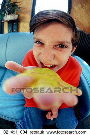 Boy, Child, 7 _ 10, Inside, Sofa, Caucasian View Large Photo Image Stock Image - Boy, Child, 7 _ 10, Inside, Sofa, Caucasian. Fotosearch