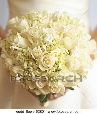 Bridal, Bride, White Roses, Bouquet, Wedding, Marriage View Large Photo Image Stock Image - Bridal, Bride, White Roses, Bouquet, Wedding, Marriage. Fotosearch