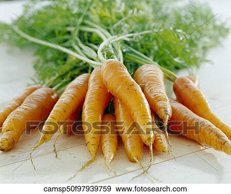 Cut Out, Indoors, Food, Feature, Autumn View Large Photo Image Stock Photo - Cut Out, Indoors, Food, Feature, Autumn. Fotosearch