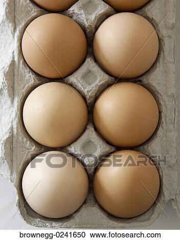 Eggs, Brown, Dozen, Fresh, Carton View Large Photo Image Stock Image - Eggs, Brown, Dozen, Fresh, Carton. Fotosearch