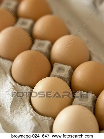 Eggs, Brown, Dozen, Fresh, Carton View Large Photo Image Stock Photo - Eggs, Brown, Dozen, Fresh, Carton. Fotosearch