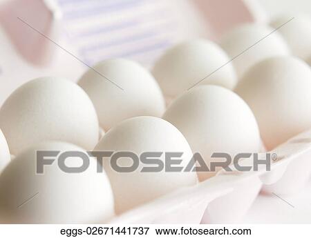 Eggs, Food, Fresh, White, Dozen, Carton View Large Photo Image Stock Photo - Eggs, Food, Fresh, White, Dozen, Carton. Fotosearch