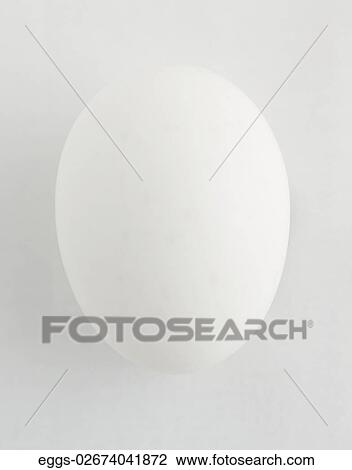 Food, Fresh, One, Egg, White View Large Photo Image Stock Image - Food, Fresh, One, Egg, White. Fotosearch