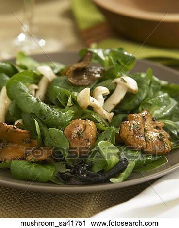 Food, Fresh, Salad, Mushroom, Grey Plate, Healthy Food View Large Photo Image Stock Image - Food, Fresh, Salad, Mushroom, Grey Plate, Healthy Food. Fotosearch