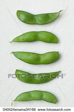 Food, Healthy, Still Life, Bean, Vegetable, Green View Large Photo Image Stock Photograph - Food, Healthy, Still Life, Bean, Vegetable, Green. Fotosearch