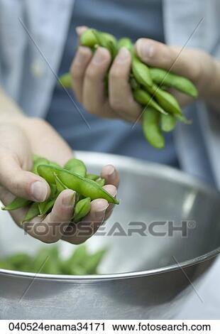 Stock Image - Food, Healthy, Still Life, Green, Bean, Handful, Vegetable. Fotosearch