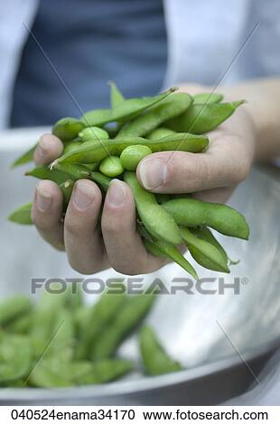 Food, Healthy, Still Life, Handfull, Bowl, Green, Vegetable View Large Photo Image Stock Image - Food, Healthy, Still Life, Handfull, Bowl, Green, Vegetable. Fotosearch
